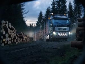 Volvo FH16 600 6x4 Timber Truck '2008